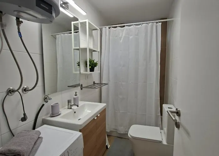 Crassula * 스플리트