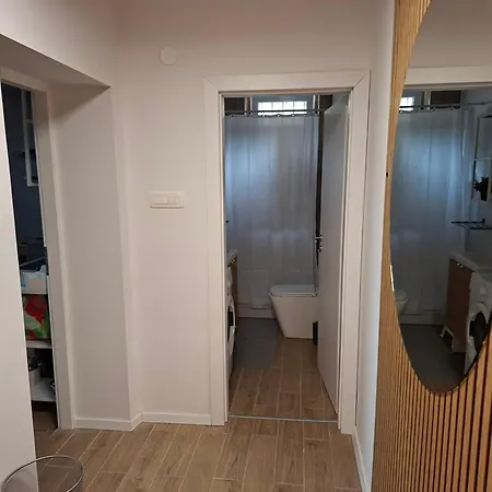 Crassula スプリト