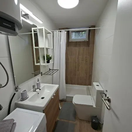 Crassula スプリト